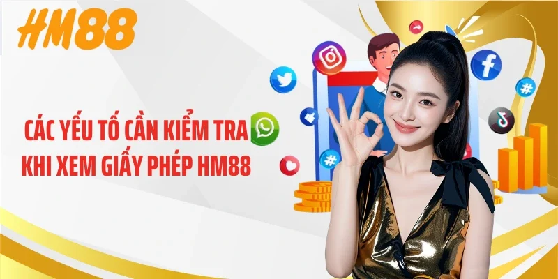 Các yếu tố cần kiểm tra khi xem giấy phép HM88