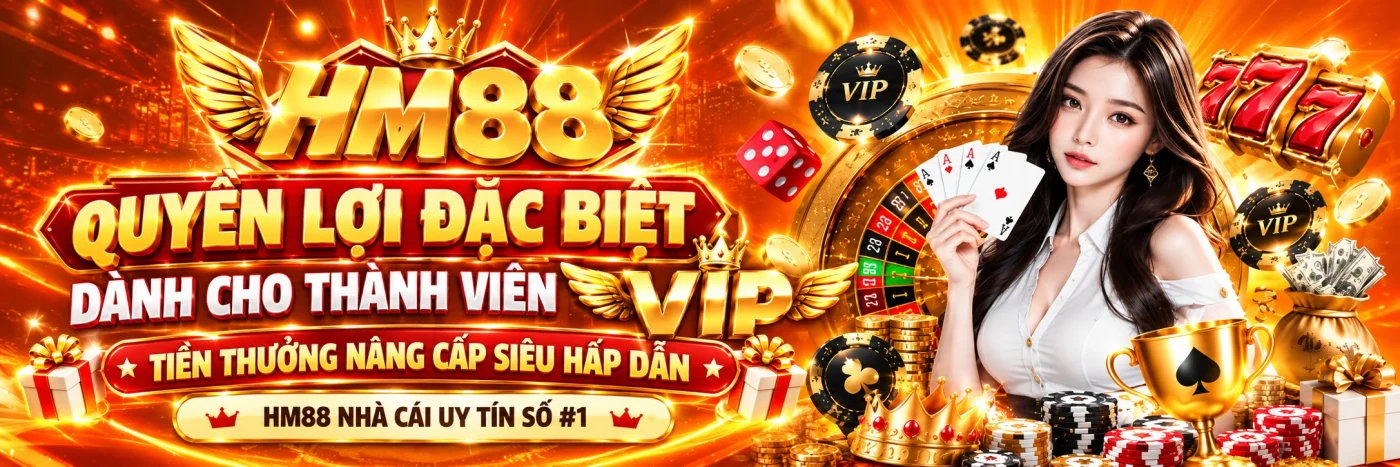 banner hm88